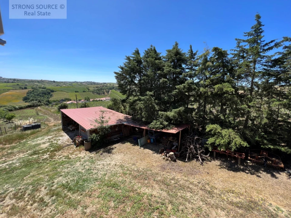 Quinta T6 para Venda em Ribafria e Pereiro de Palhacana Foto 80