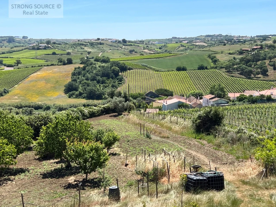 Quinta T6 para Venda em Ribafria e Pereiro de Palhacana Foto 85