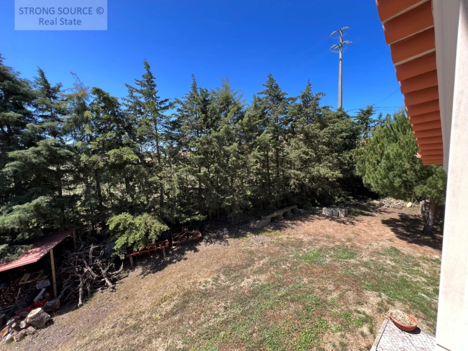 Quinta T6 para Venda em Ribafria e Pereiro de Palhacana Foto 86