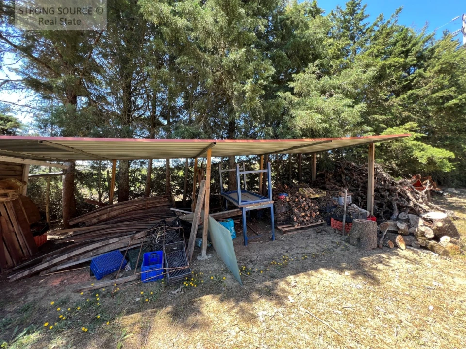 Quinta T6 para Venda em Ribafria e Pereiro de Palhacana Foto 104