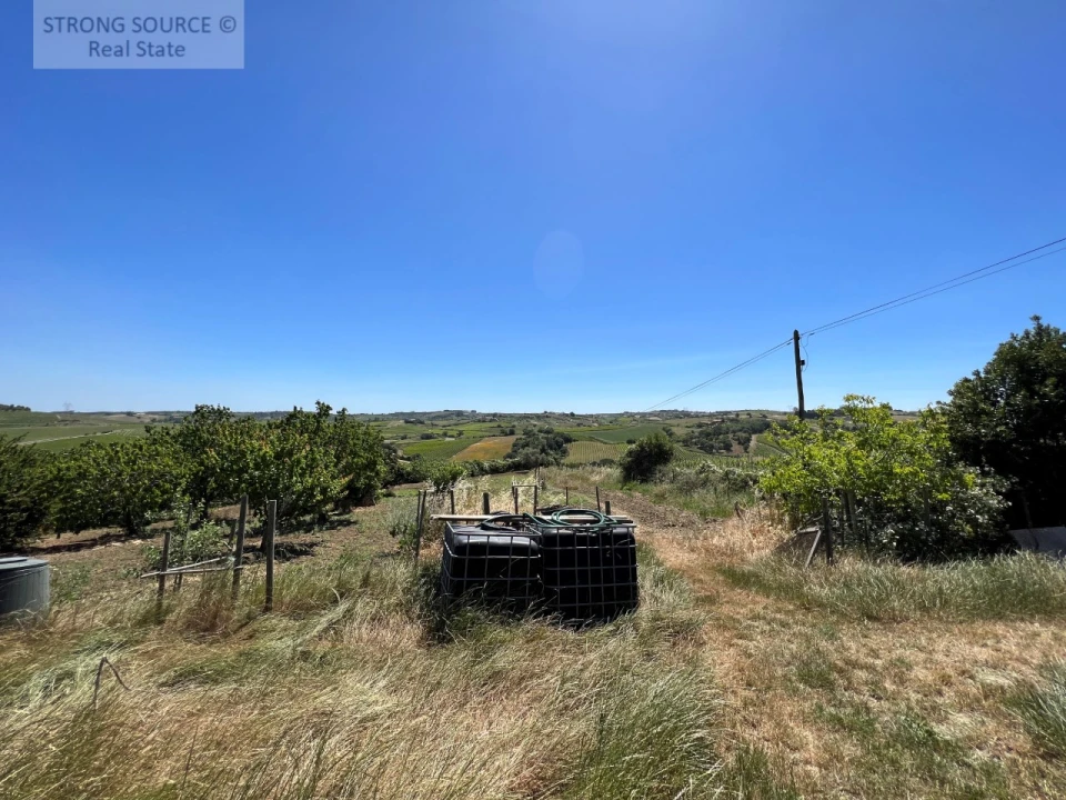 Quinta T6 para Venda em Ribafria e Pereiro de Palhacana Foto 106
