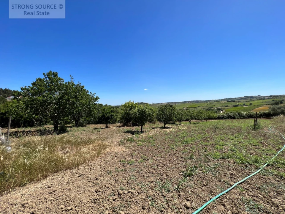 Quinta T6 para Venda em Ribafria e Pereiro de Palhacana Foto 108