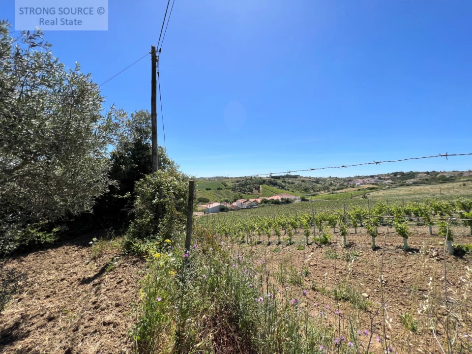 Quinta T6 para Venda em Ribafria e Pereiro de Palhacana Foto 110