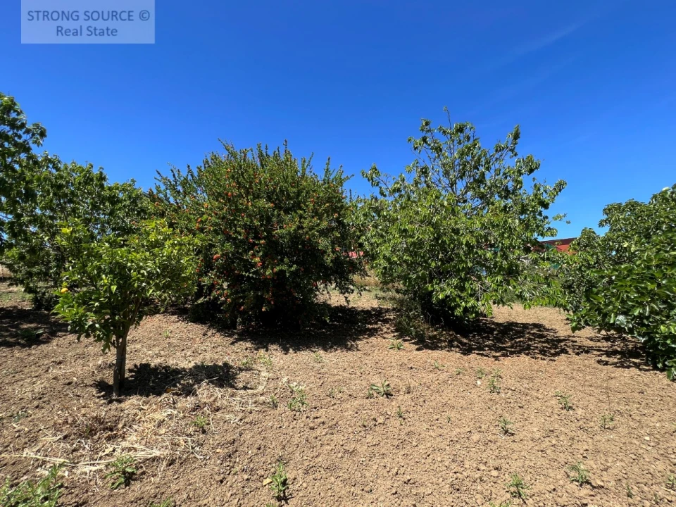 Quinta T6 para Venda em Ribafria e Pereiro de Palhacana Foto 122