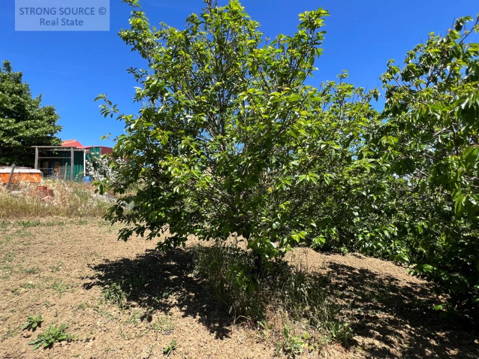 Quinta T6 para Venda em Ribafria e Pereiro de Palhacana Foto 125