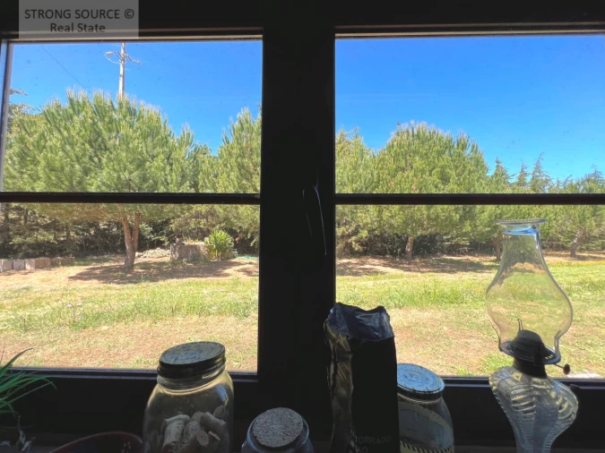 Quinta T6 para Venda em Ribafria e Pereiro de Palhacana Foto 27