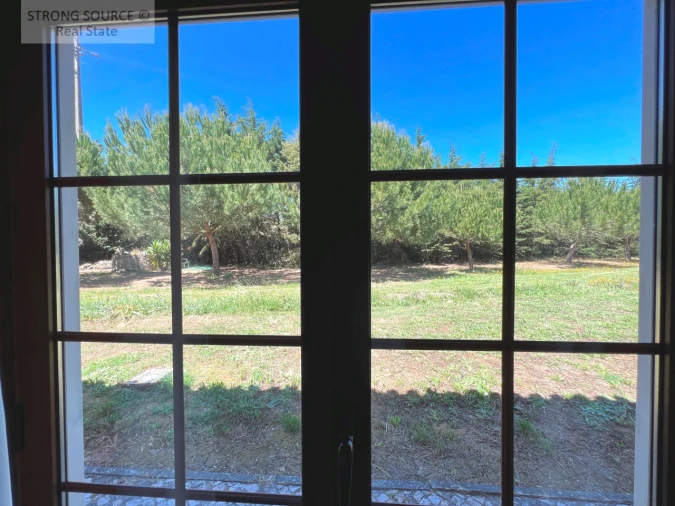 Quinta T6 para Venda em Ribafria e Pereiro de Palhacana Foto 55