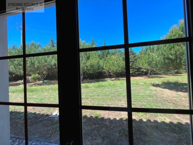 Quinta T6 para Venda em Ribafria e Pereiro de Palhacana Foto 68