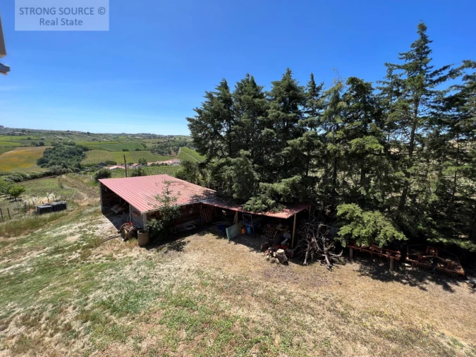 Quinta T6 para Venda em Ribafria e Pereiro de Palhacana Foto 87