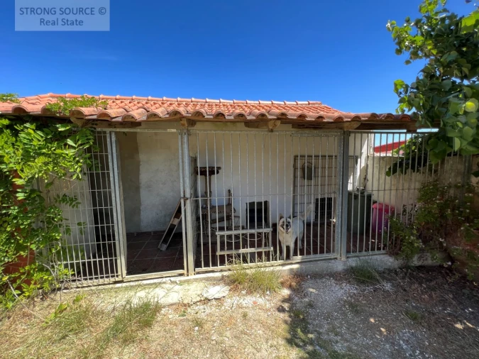 Quinta T6 para Venda em Ribafria e Pereiro de Palhacana Foto 103