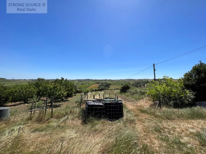 Quinta T6 para Venda em Ribafria e Pereiro de Palhacana Foto 106
