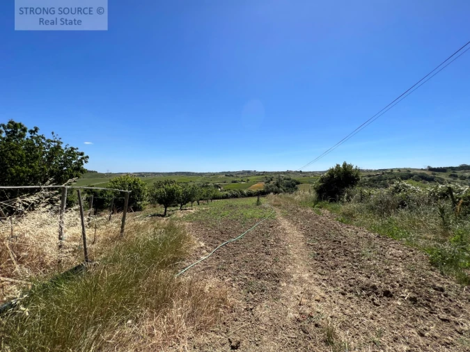 Quinta T6 para Venda em Ribafria e Pereiro de Palhacana Foto 107