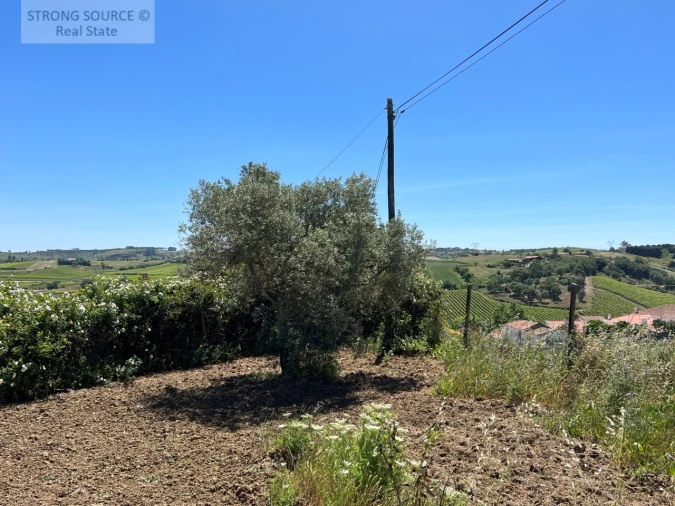 Quinta T6 para Venda em Ribafria e Pereiro de Palhacana Foto 109