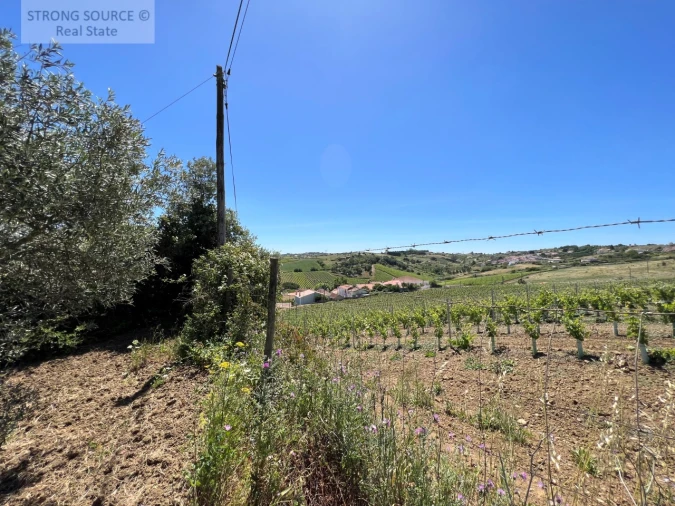 Quinta T6 para Venda em Ribafria e Pereiro de Palhacana Foto 110