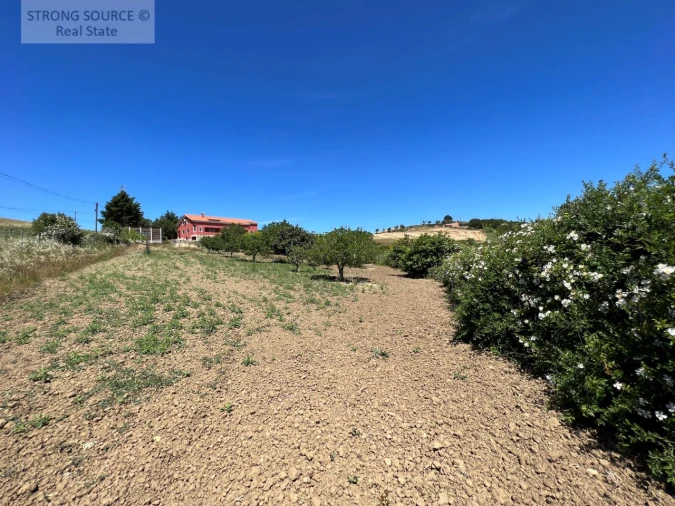 Quinta T6 para Venda em Ribafria e Pereiro de Palhacana Foto 112