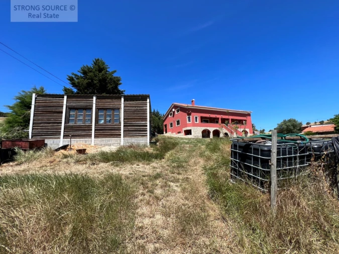 Quinta T6 para Venda em Ribafria e Pereiro de Palhacana Foto 128