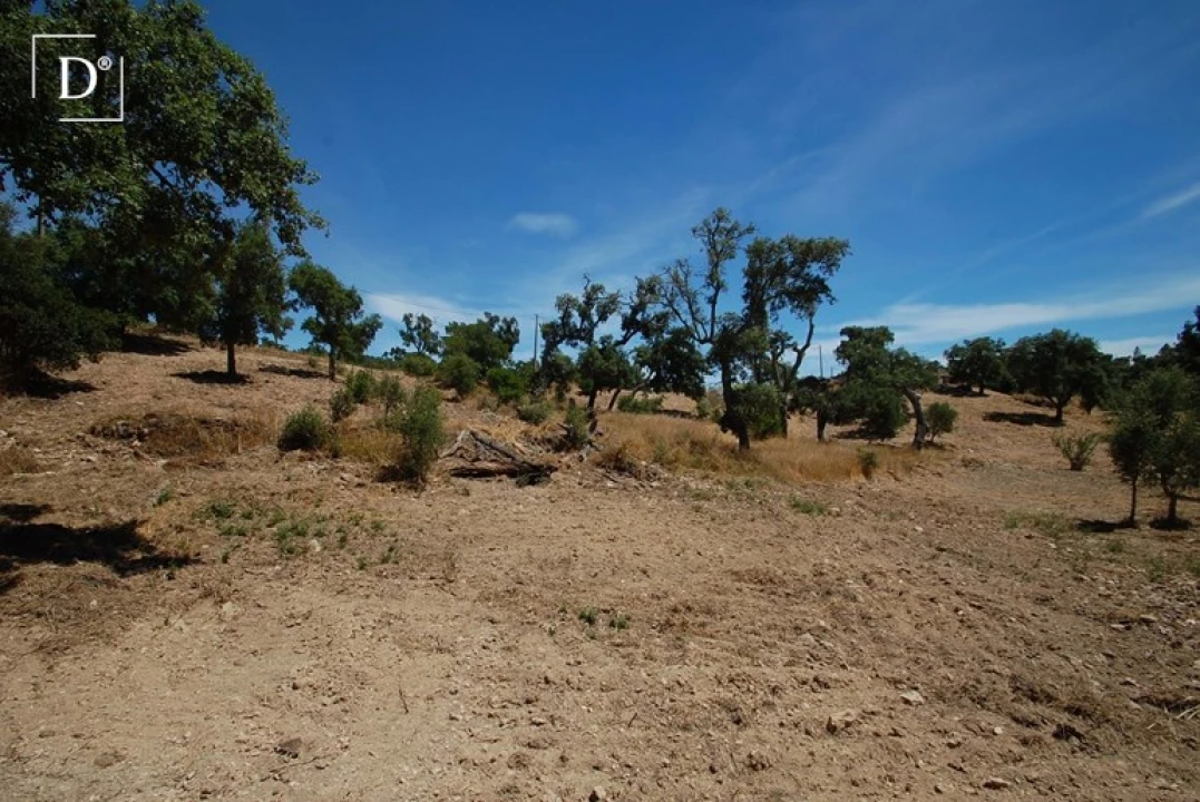 Terreno para Venda em São Brás de Alportel Foto 1