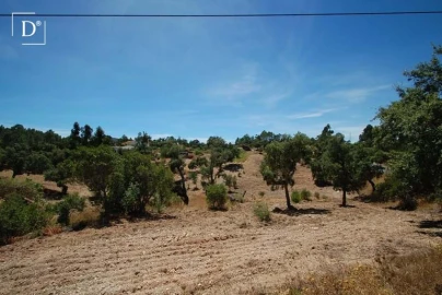 Terreno para Venda em São Brás de Alportel