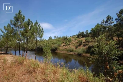 Terreno para Venda em São Brás de Alportel