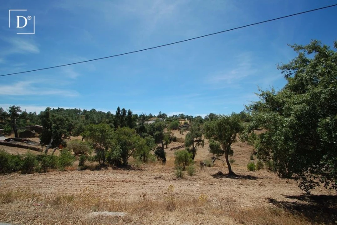 Terreno para Venda em São Brás de Alportel Foto 19