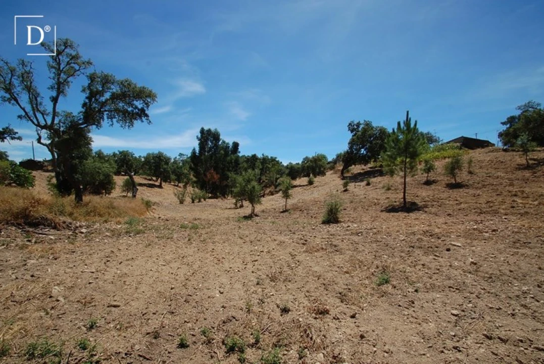 Terreno para Venda em São Brás de Alportel Foto 18