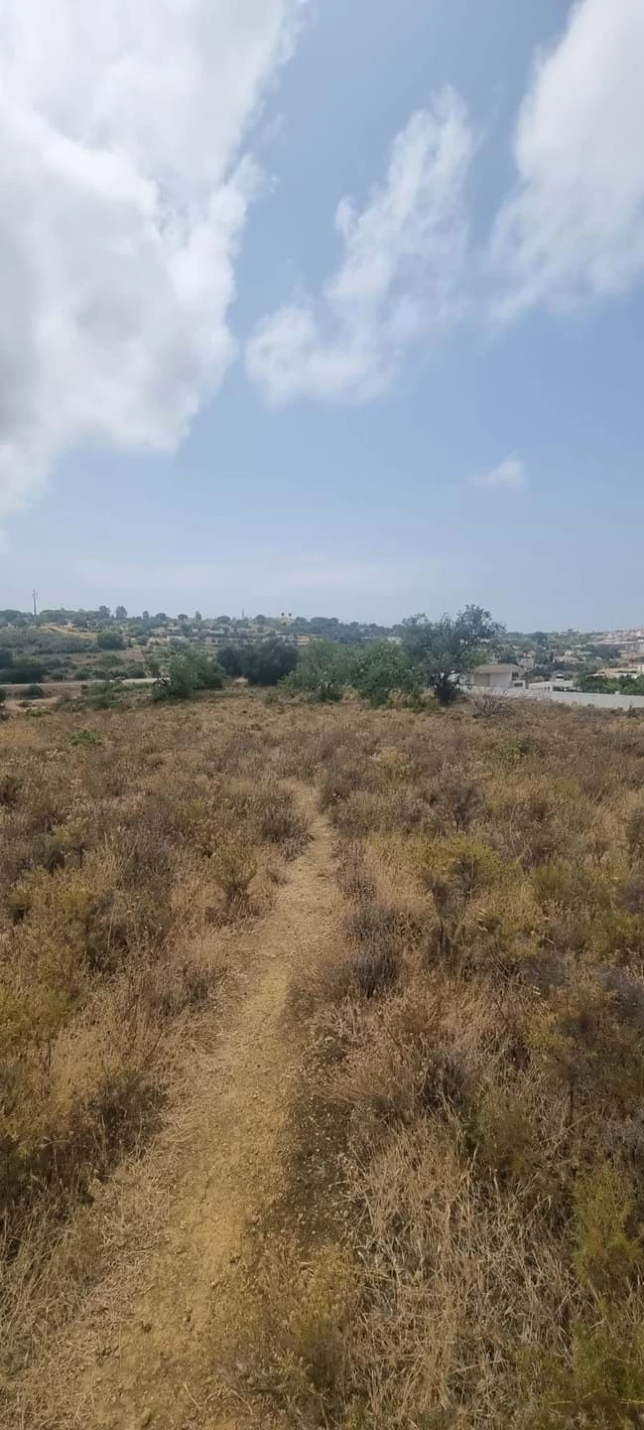 Terreno para Venda em Porches Foto 2