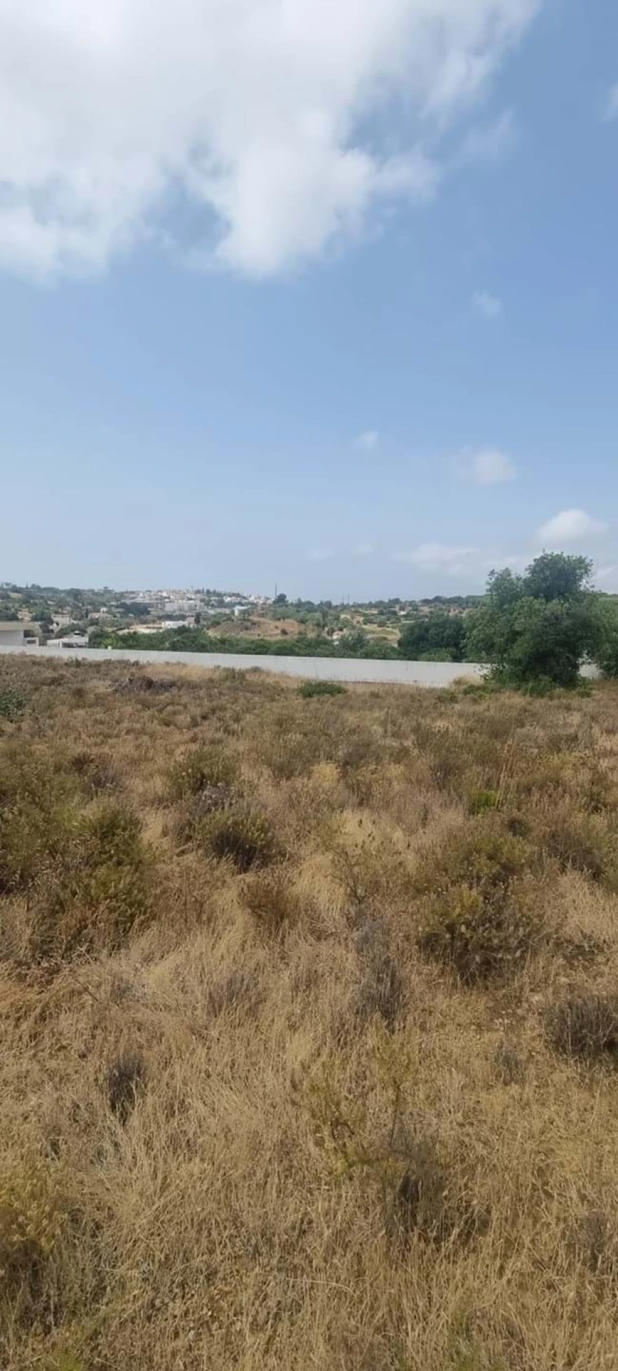 Terreno para Venda em Porches Foto 6