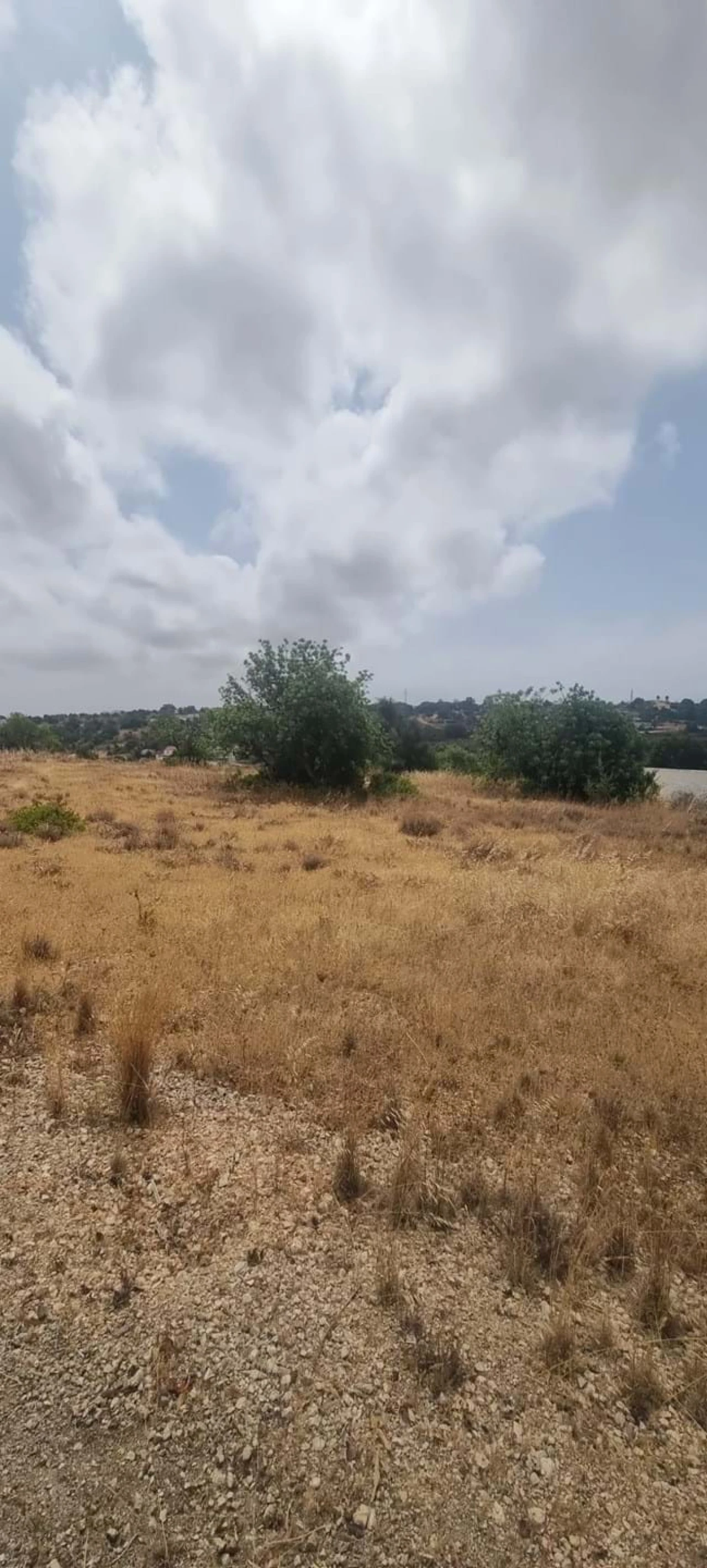 Terreno para Venda em Porches Foto 3