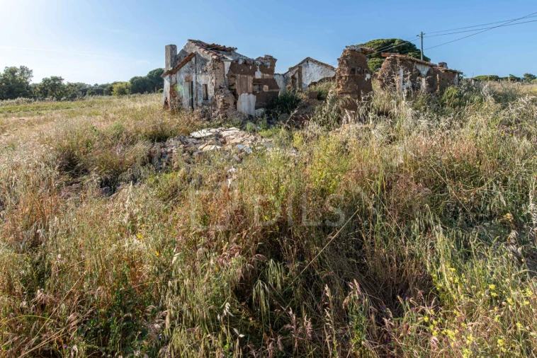 Terreno para Venda em Melides Foto 25