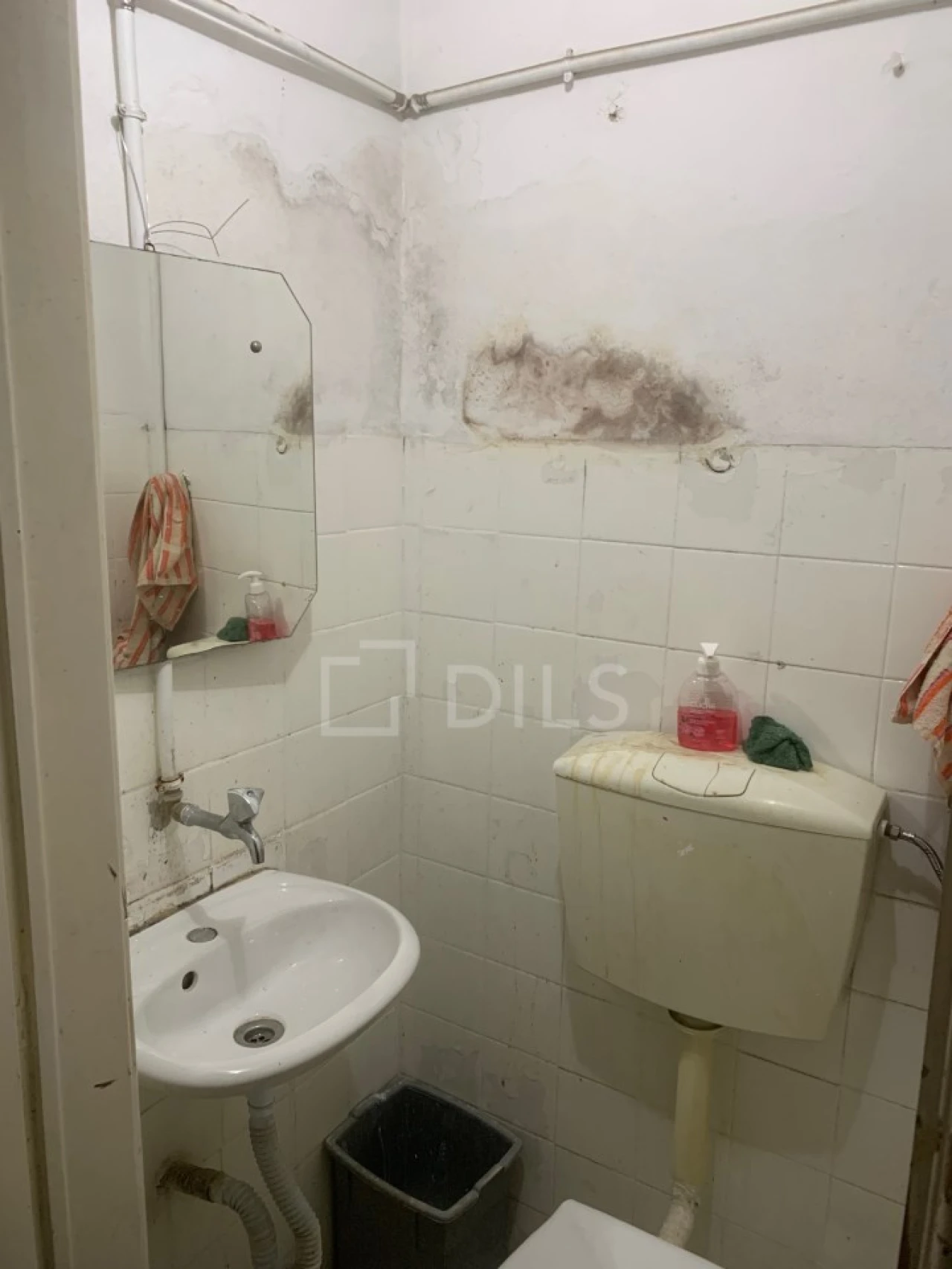 Armazém para Venda em Estrela Foto 10