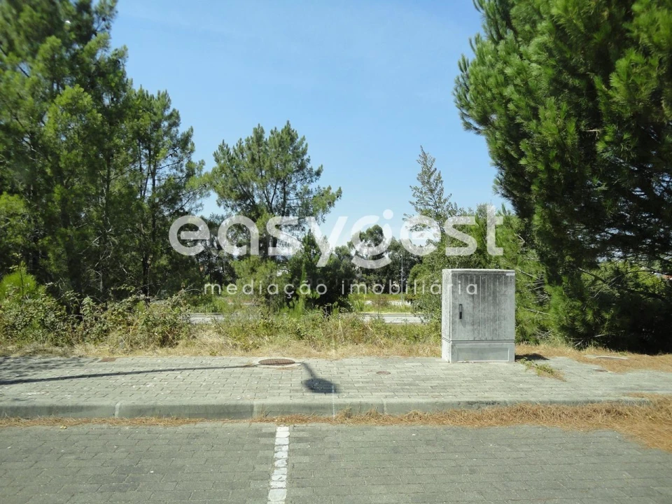 Terreno para Venda em São João Baptista Foto 6