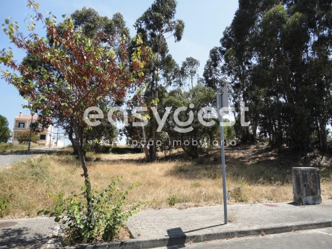 Terreno para Venda em São João Baptista Foto 3