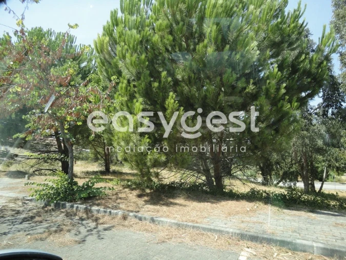 Terreno para Venda em São João Baptista Foto 8