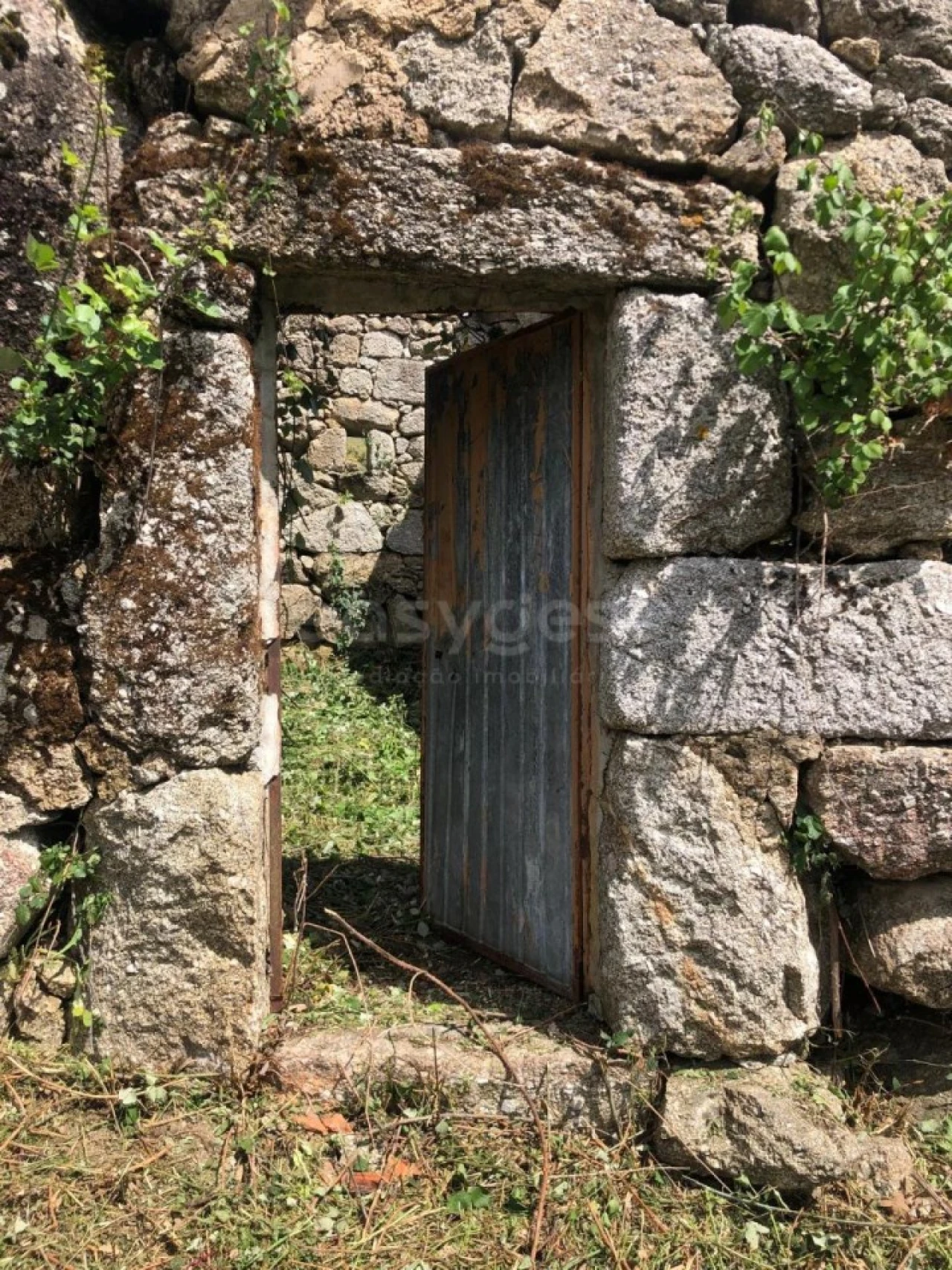 Quinta para Venda em Linhares Foto 3