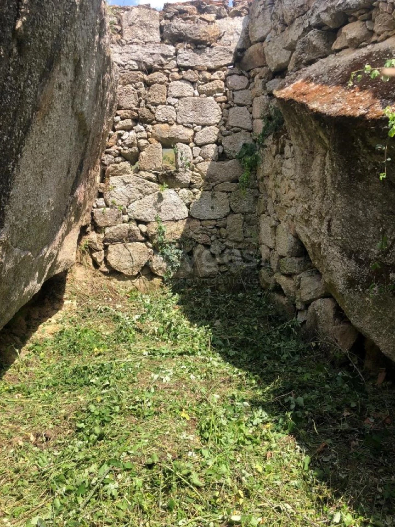 Quinta para Venda em Linhares Foto 4