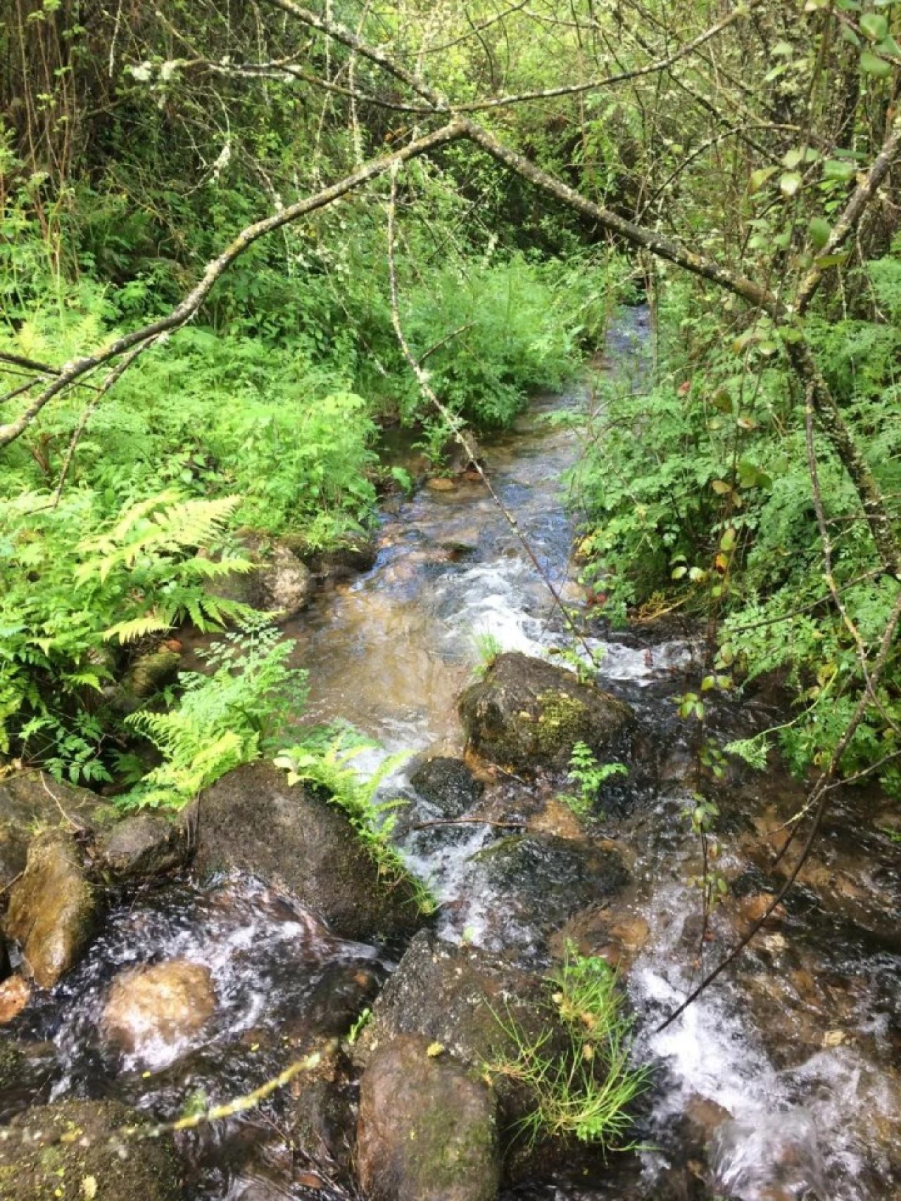 Quinta para Venda em Linhares Foto 7