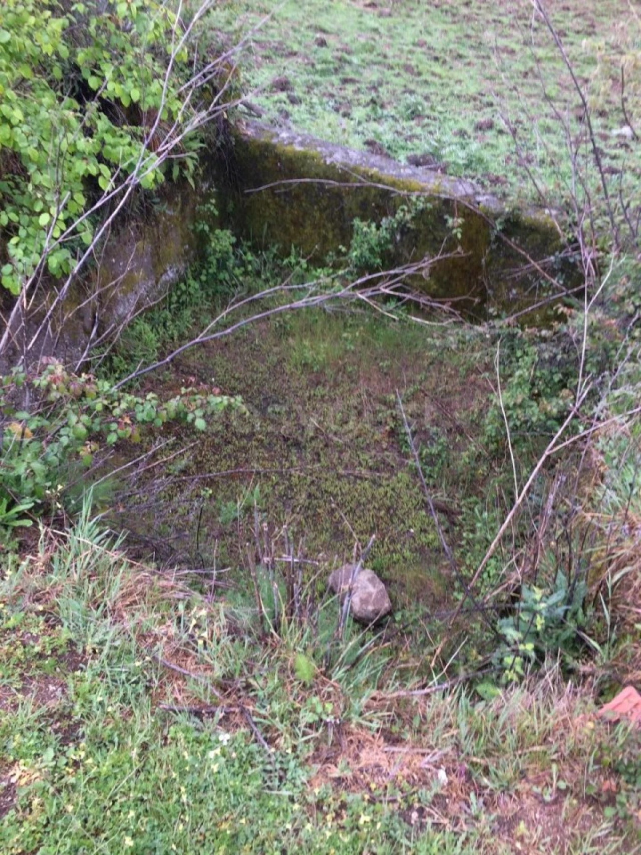 Quinta para Venda em Linhares Foto 8