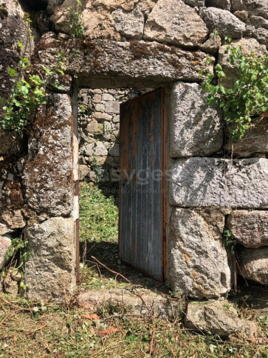 Quinta para Venda em Linhares Foto 3