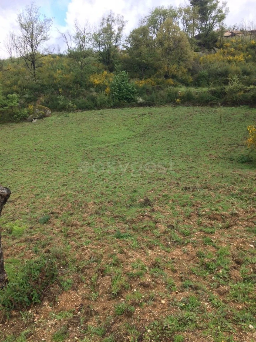 Quinta para Venda em Linhares Foto 9