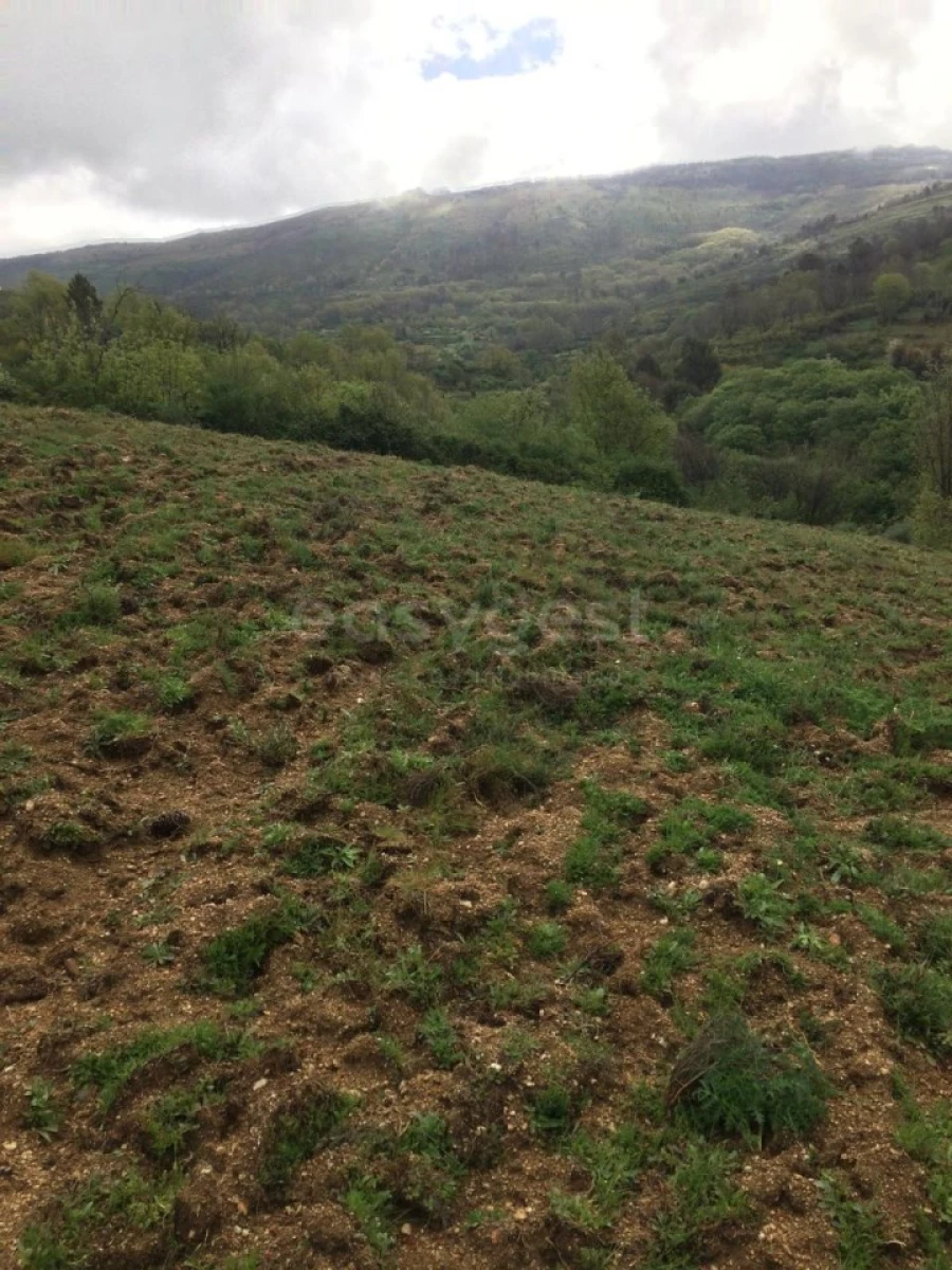 Quinta para Venda em Linhares Foto 10