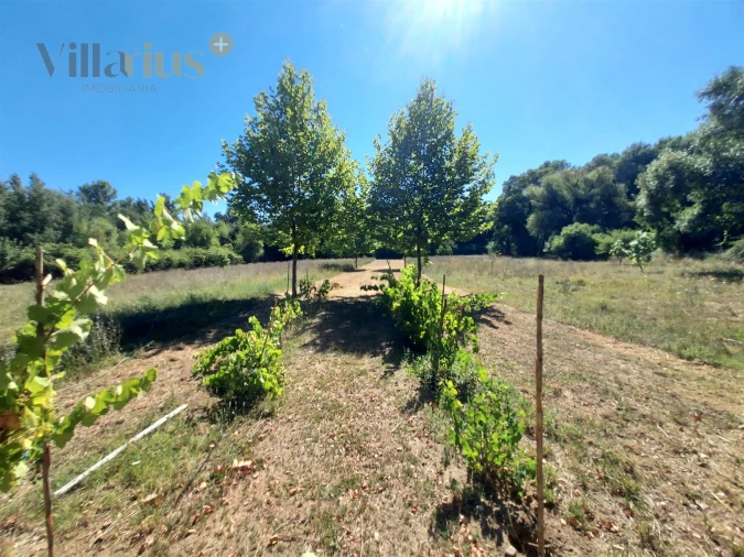 Moradia T4 para Venda em Sabacheira Foto 70