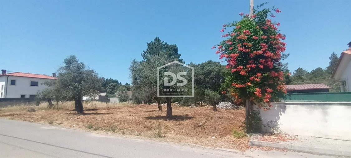 Terreno para Venda em Fatima Foto 5