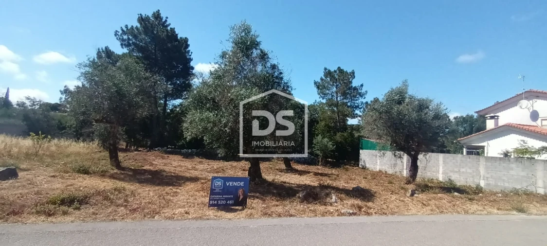 Terreno para Venda em Fatima