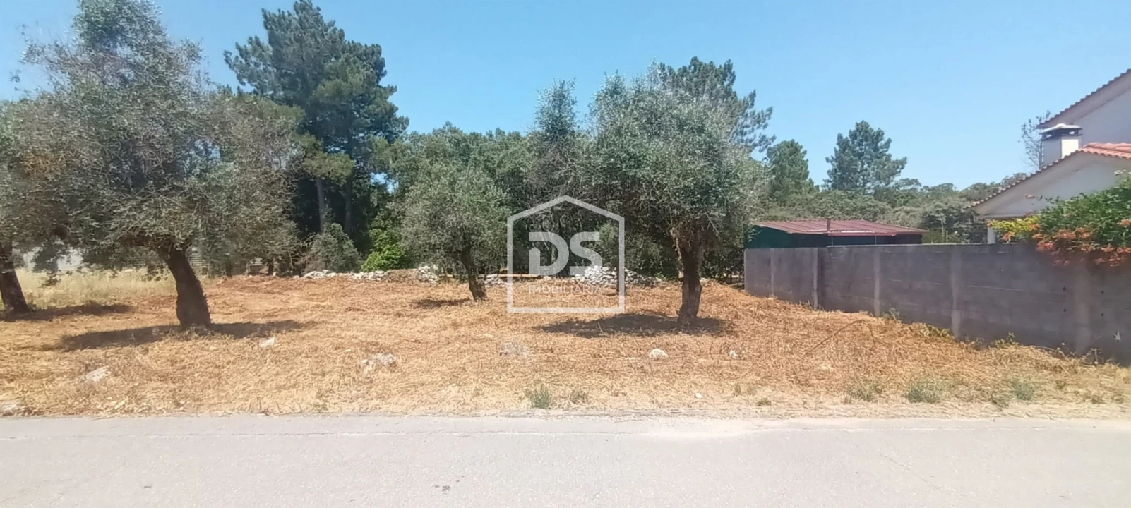 Terreno para Venda em Fatima Foto 4