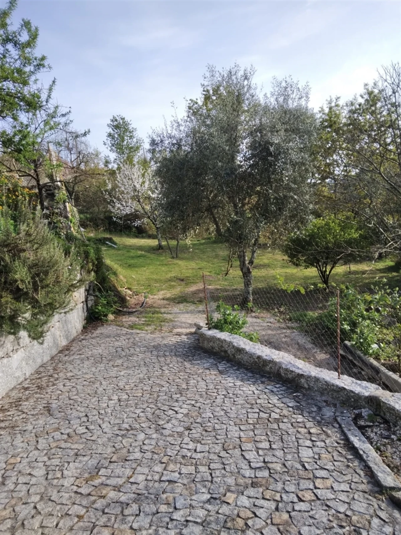 Quinta T3 para Venda em Sousela Foto 24