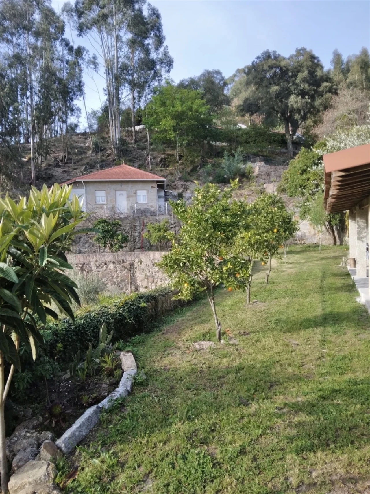 Quinta T3 para Venda em Sousela Foto 28