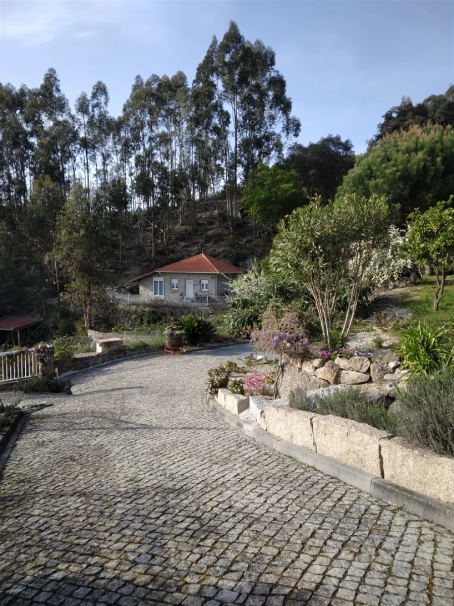 Quinta T3 para Venda em Sousela Foto 31