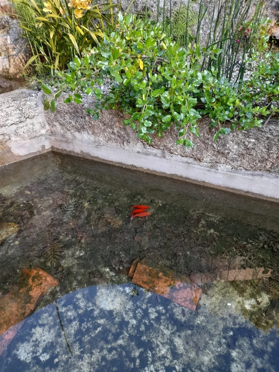 Quinta T3 para Venda em Sousela Foto 15