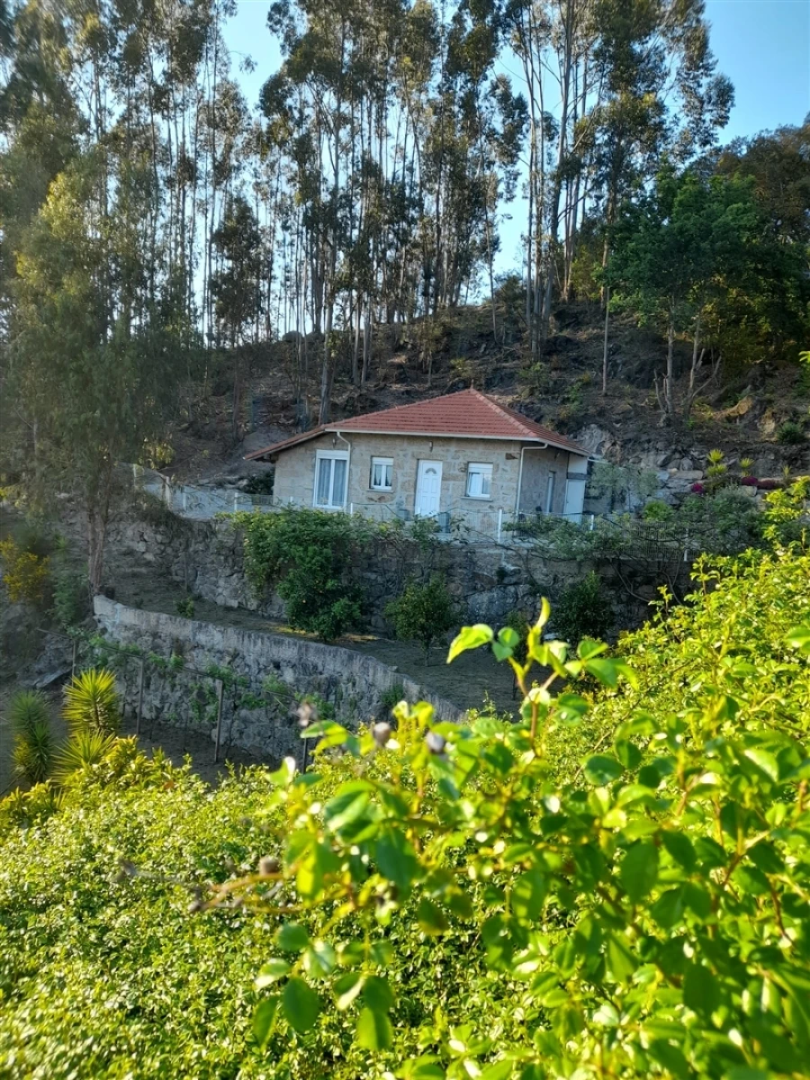 Quinta T3 para Venda em Sousela Foto 18