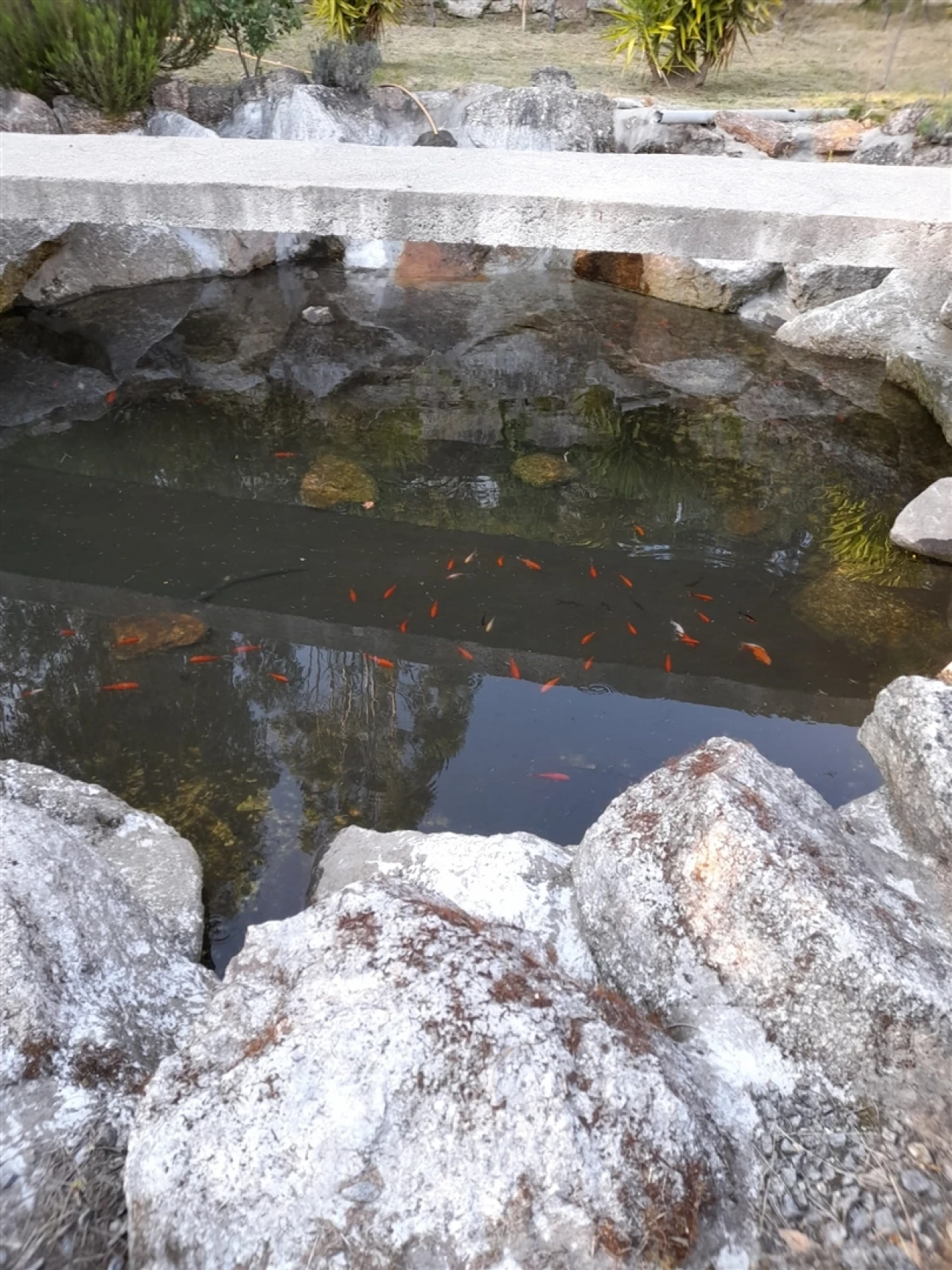 Quinta T3 para Venda em Sousela Foto 13